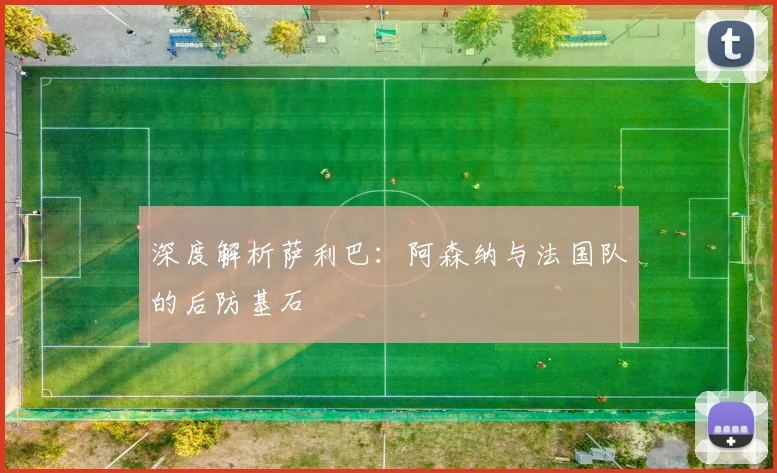深度解析萨利巴:阿森纳与法国队的后防基石